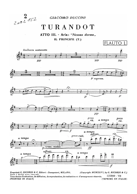 Flute 1