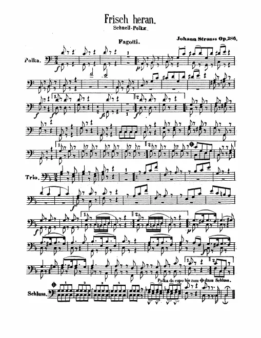Bassoon 1/2