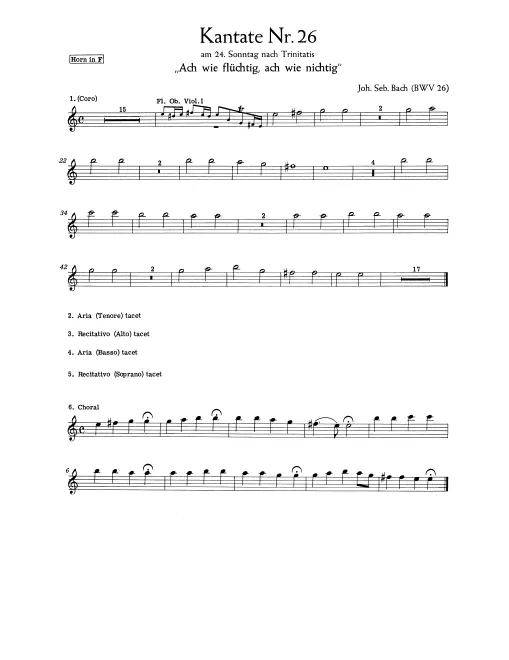 Horn (F)