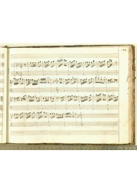 Var. XXVII: Minuetto in C major, SF 702.28