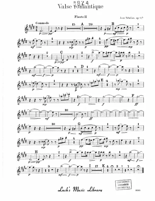 Flute 2