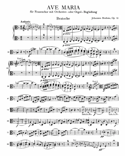 Violas