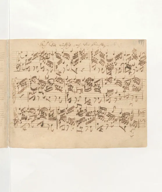 First page of Ach wie nichtig, ach wie flüchtig
