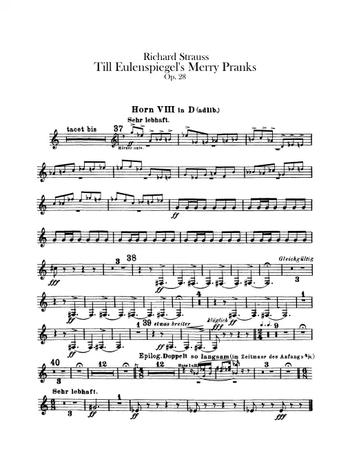Horn 8 (D, ad lib.)