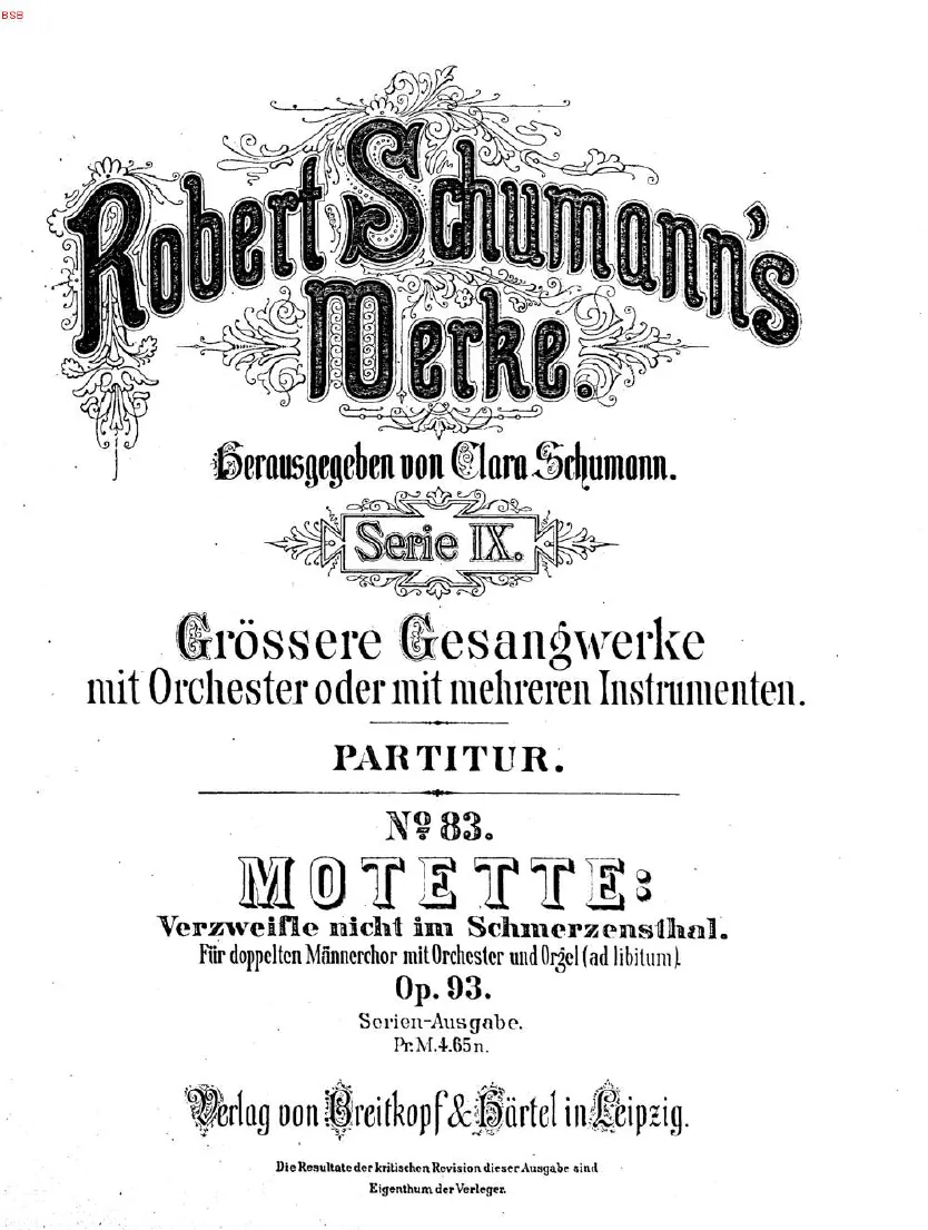 First page of Verzweifle nicht im Schmerzensthal