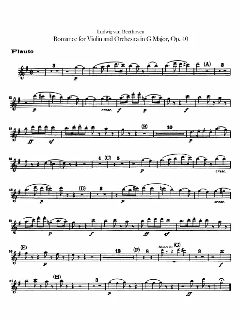 Flute