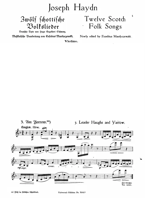 Violin