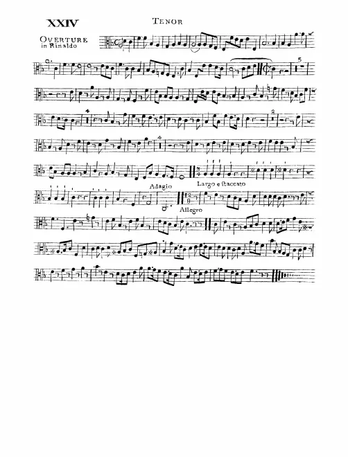 Violas