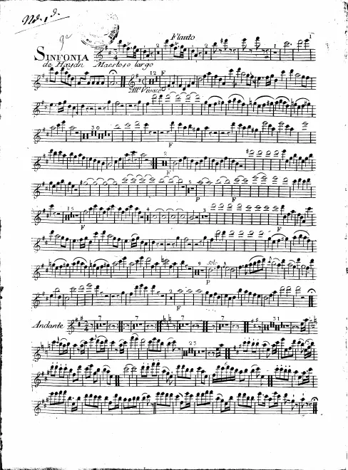 Flute
