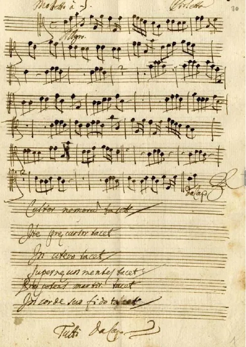 Violas ("Violetta")