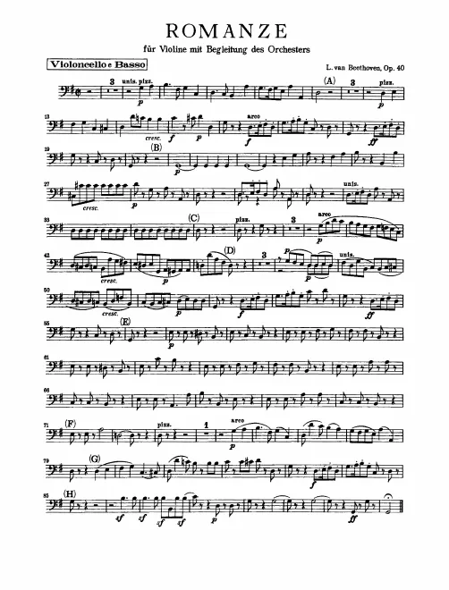 Cellos/Basses