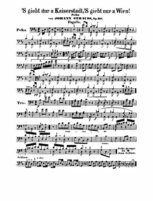 Bassoon 1/2