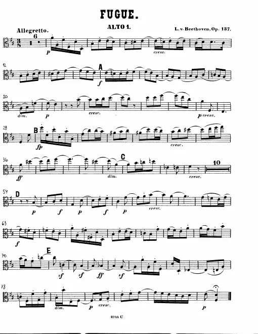Viola 1