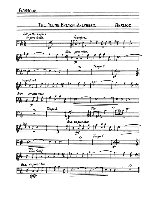 Bassoon