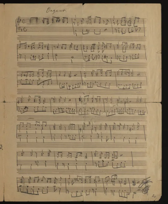 Organ Part