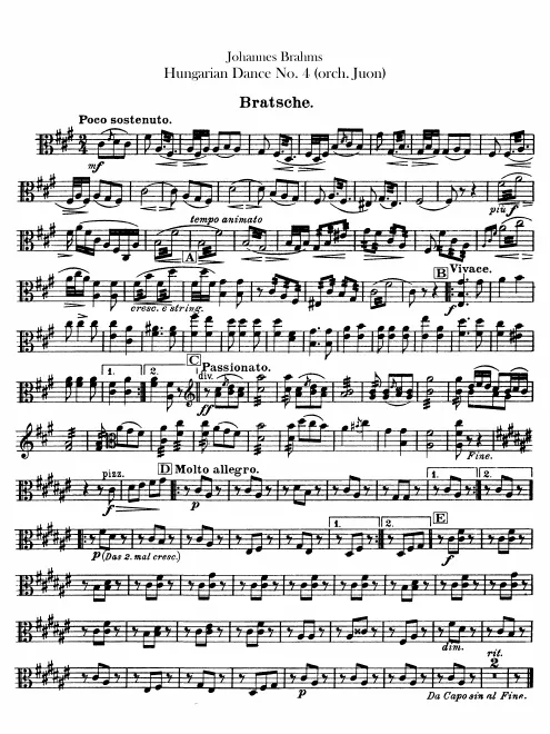 Violas
