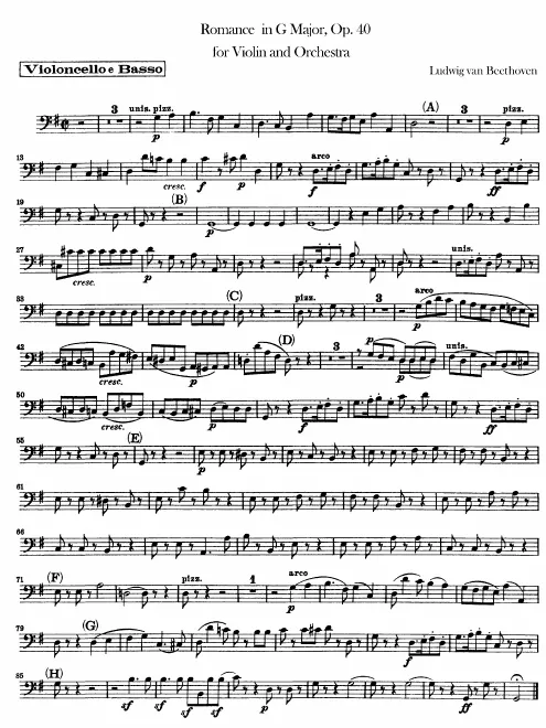 Cellos/Basses