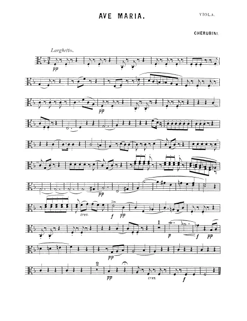 Viola
