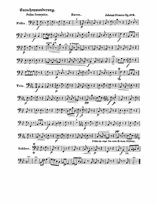 Basses