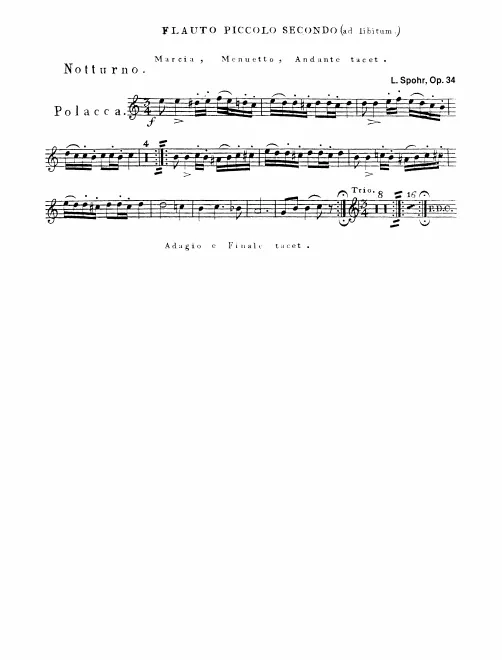 Piccolo 2 (optional)
