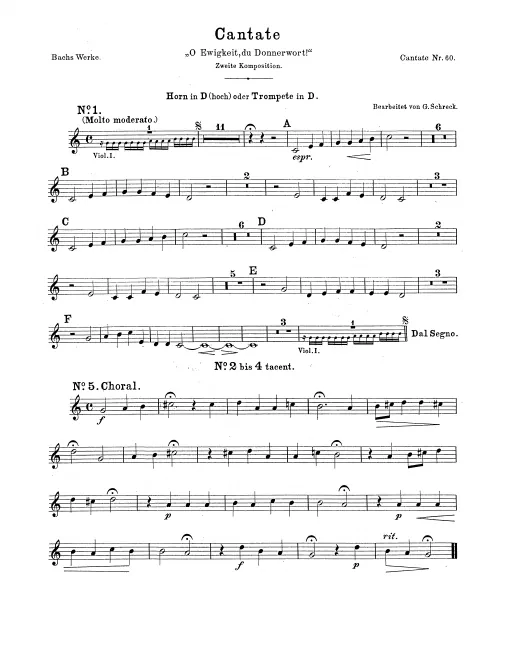 Horn (or Trumpet) (D)