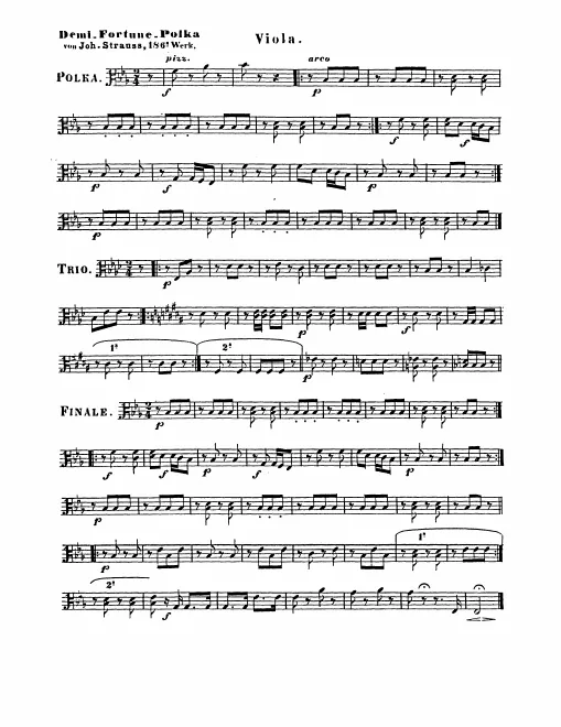 Violas