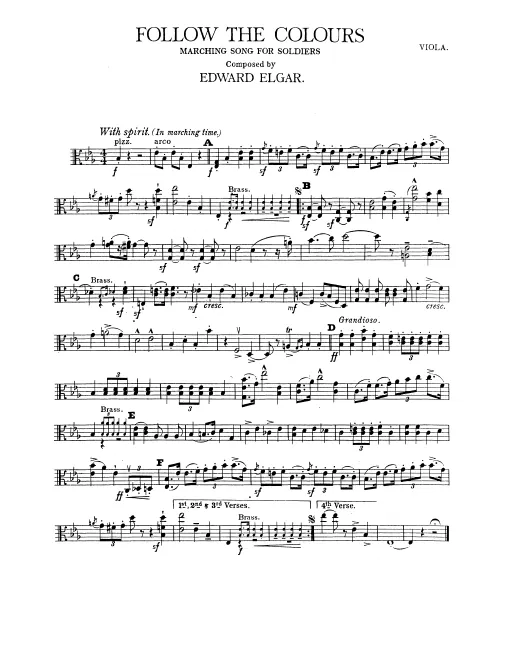 Violas