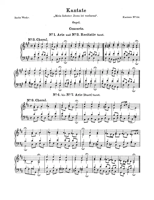 Organ