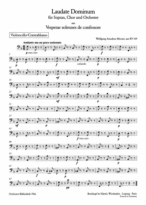 Cellos/Basses