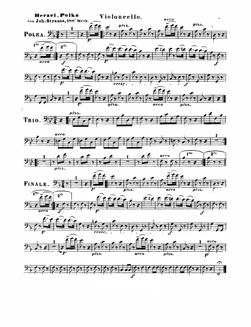 Basses