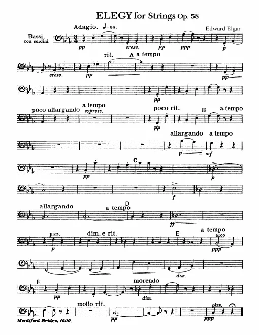 Basses