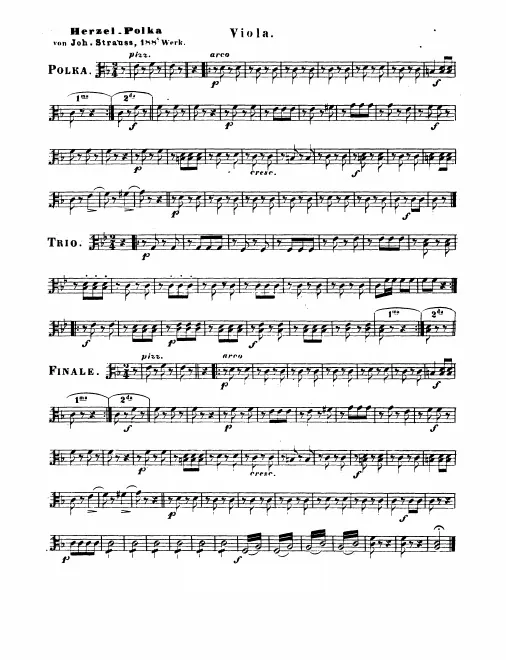 Violas