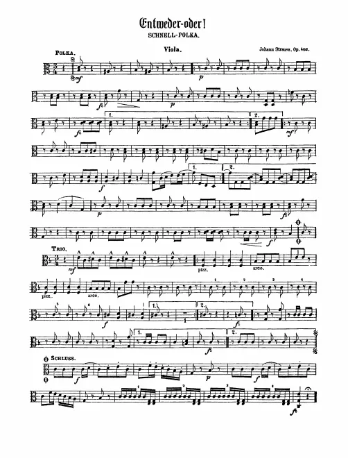 Violas