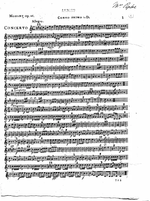 Horn 1 (D)