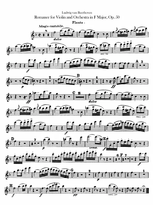 Flute