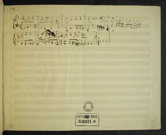 Manuscript Sketch