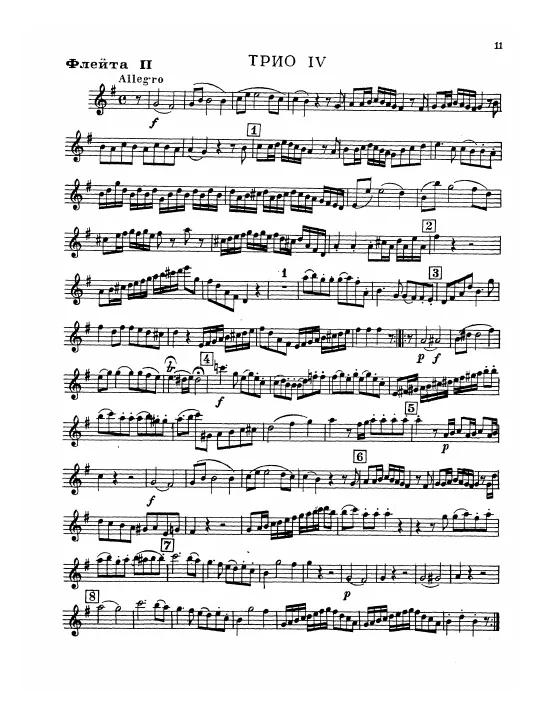 Flute 2