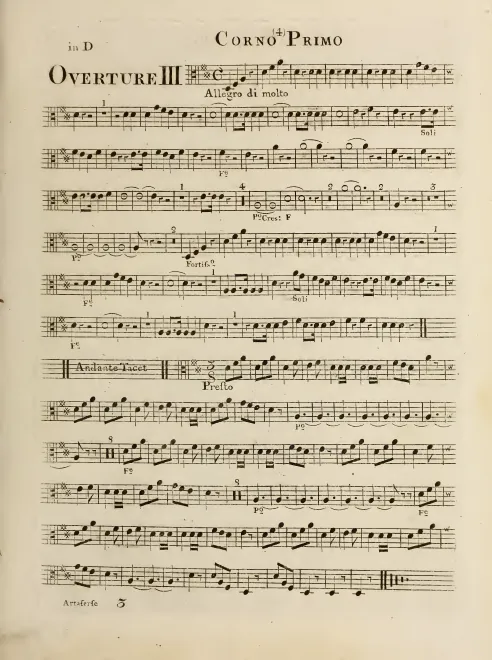 Horn 1 (D)