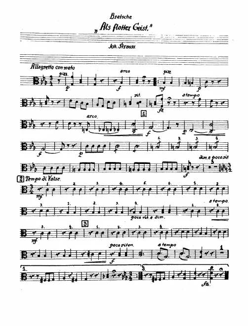Violas
