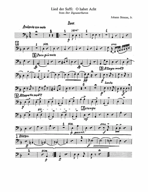 Basses
