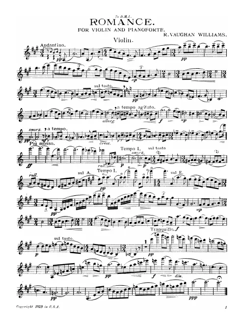 Violin