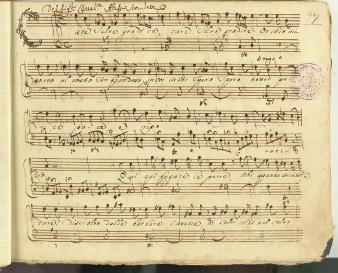 First page of Care selve gradite