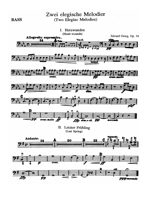 Double Basses