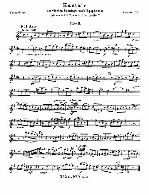 Flute 2