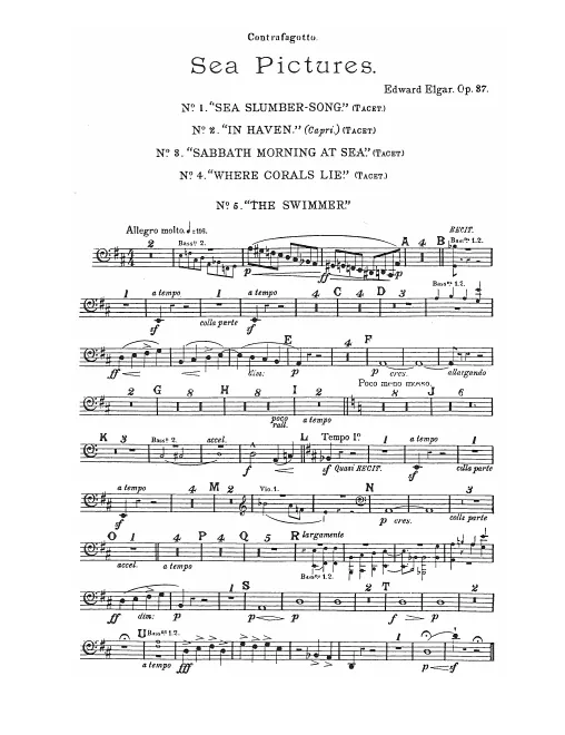 Contrabassoon