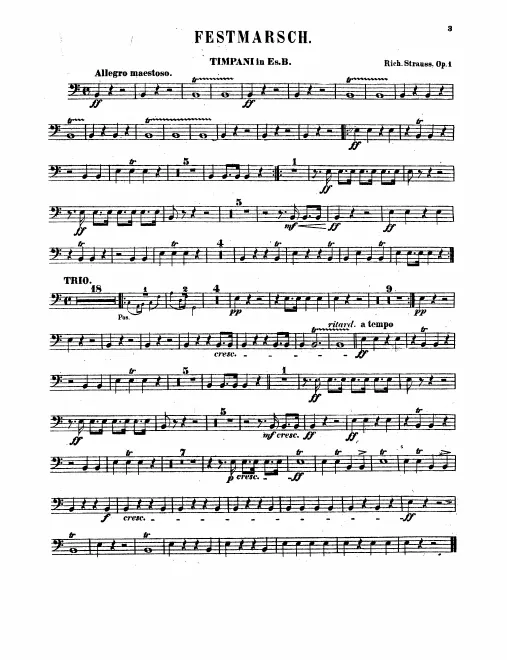Timpani