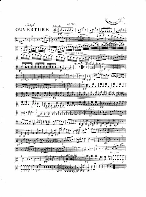 Violas