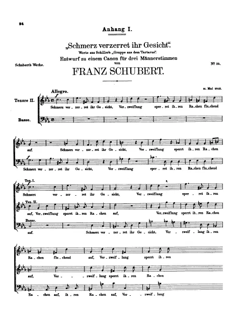First page of Schmerz verzerret ihr Gesicht