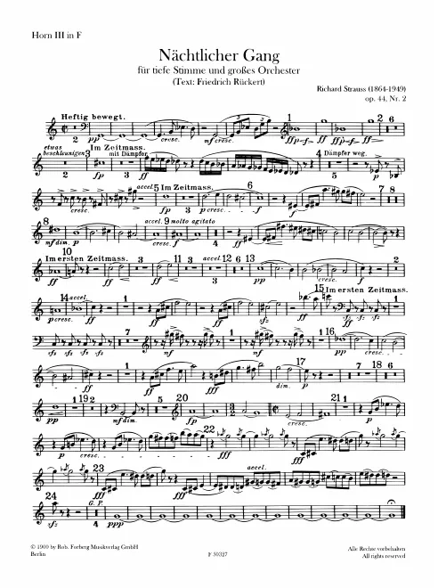 Horn 3 (F)