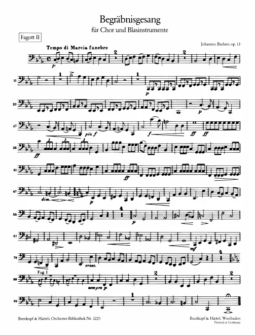 Bassoon 2